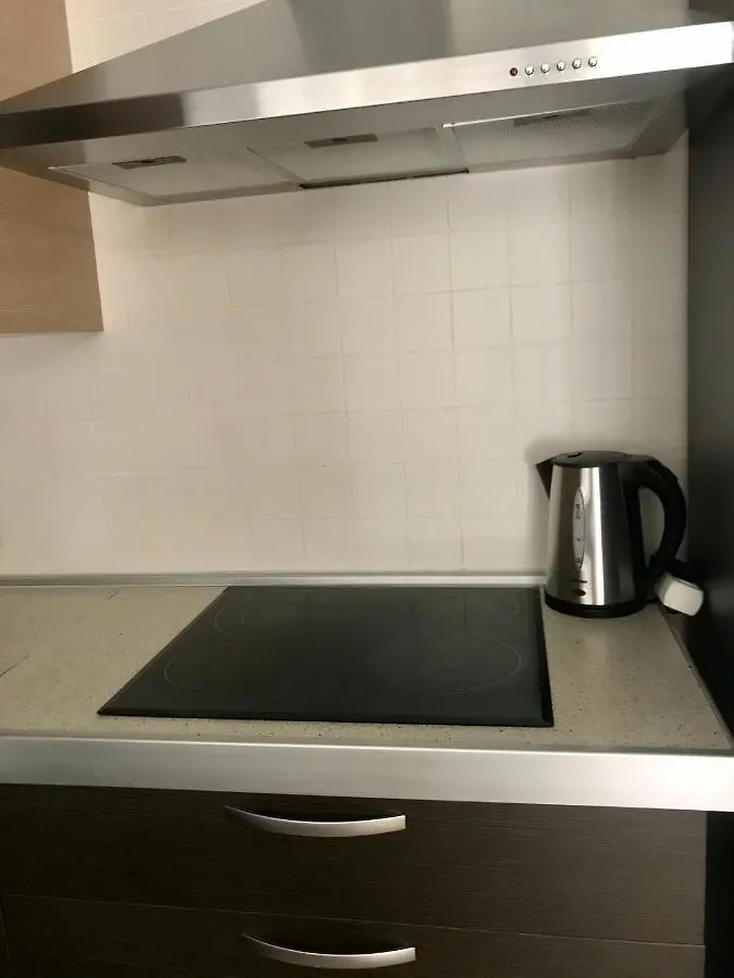 El Mocan Luxury Apartment Эль-Пальмар